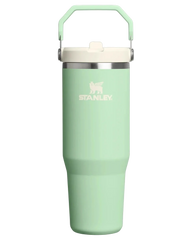 Iceflow Go Flipstraw Pistachio 30 Ounce Tumbler