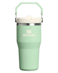 Iceflow Go Flipstraw Pistachio 20 Ounce Tumbler