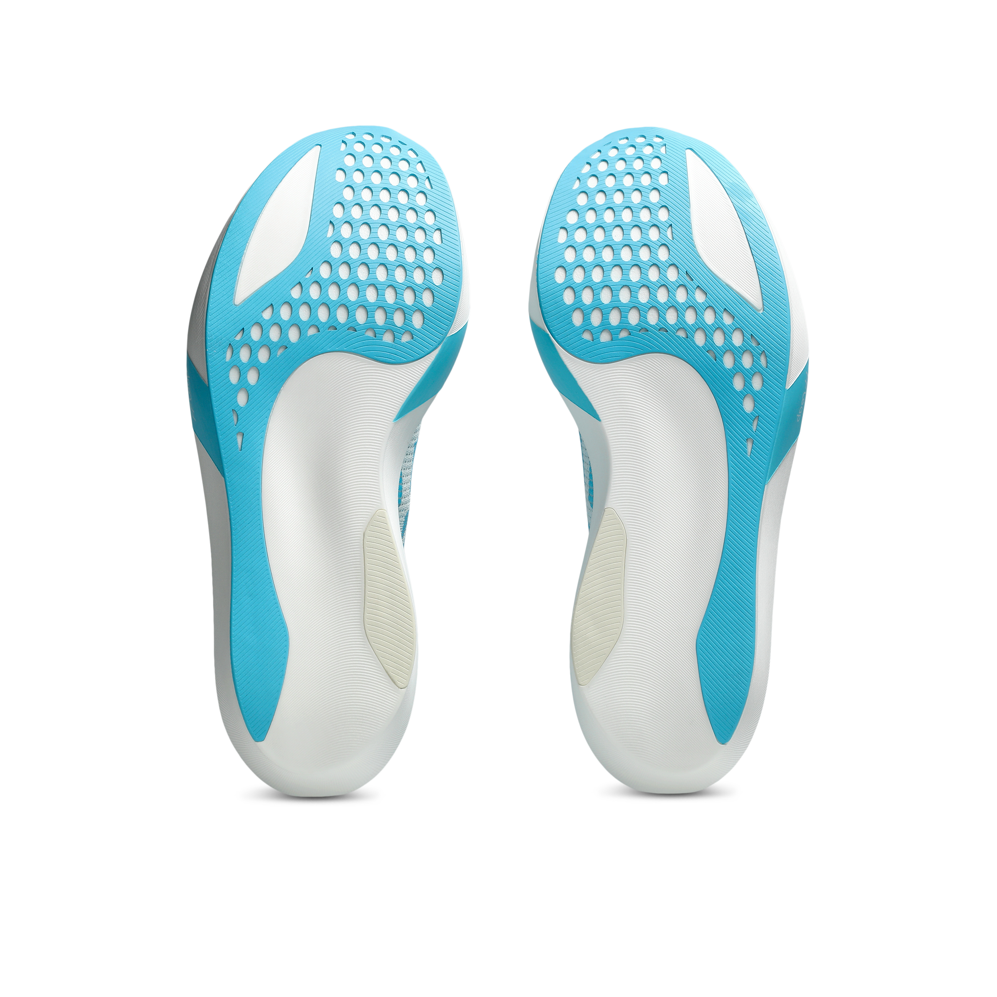 Mens Metaspeed Sky Tokyo Running Shoe