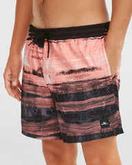 Mens Cali Gradient 14 Inch Swim Shorts