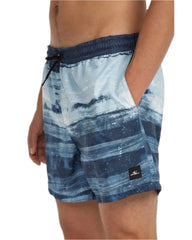 Mens Cali Gradient 14 Inch Swim Shorts