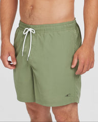 Mens Vert 16 Inch Swim Shorts