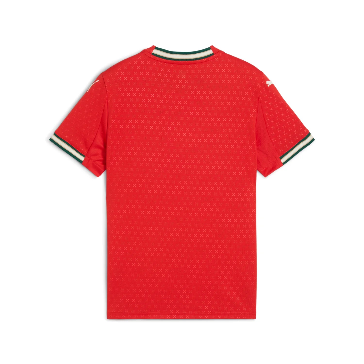 Junior Portugal FPF Home 25 Replica Jersey