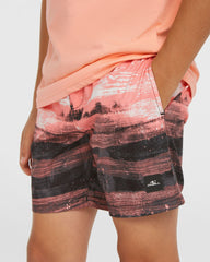 Boys Cali Gradient 14 Inch Swim Shorts