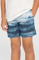 Boys Cali Gradient 14 Inch Swim Shorts
