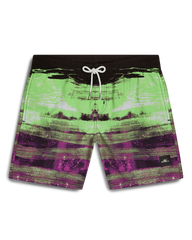 Boys Cali Gradient 14 Inch Swim Shorts
