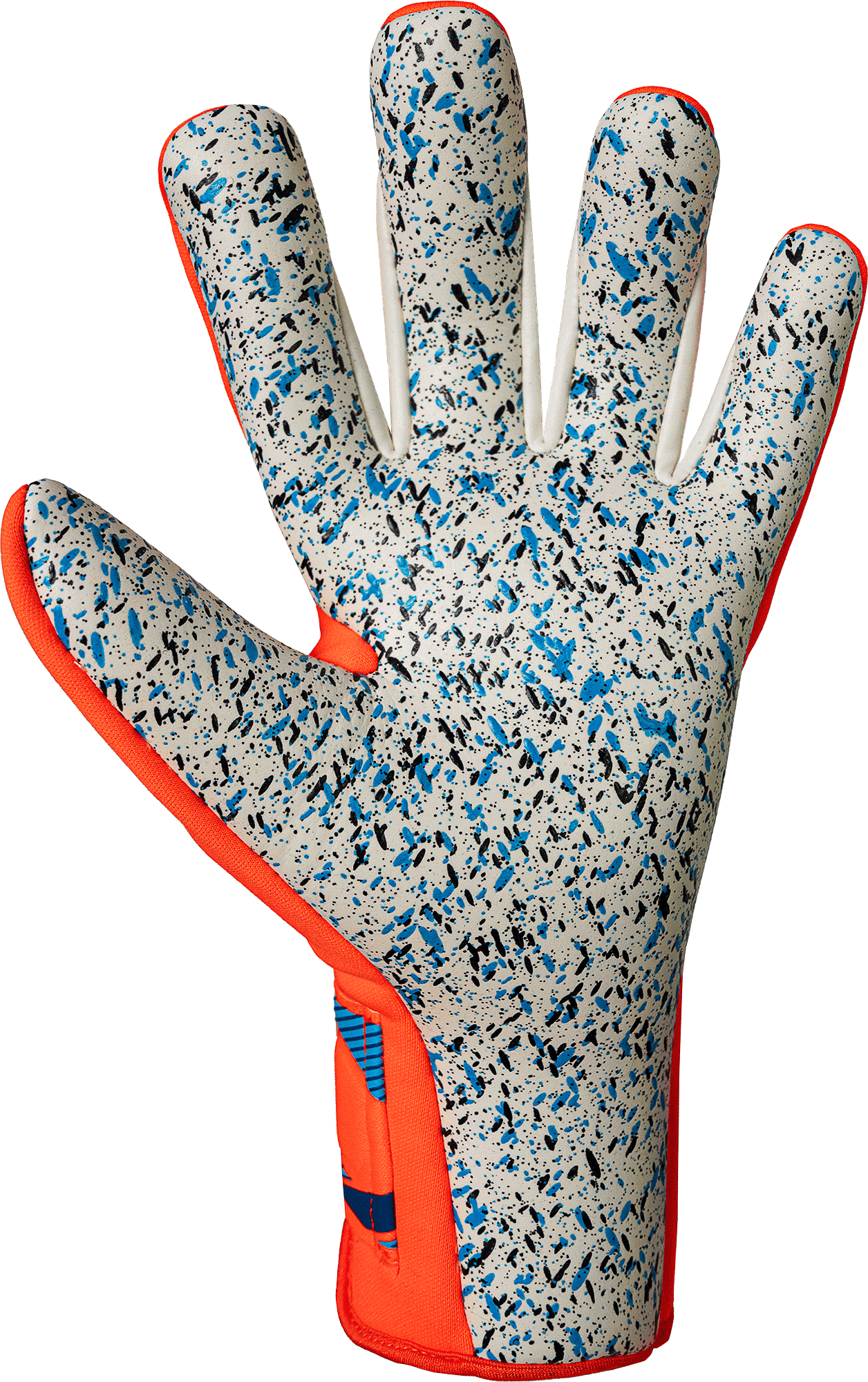 Senior Attrakt Freegel Fusion Goalkeeper Gloves