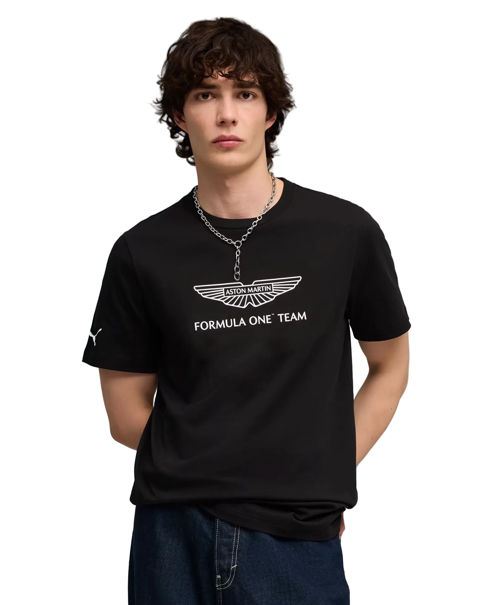 Mens Aston Martin F1 Team Logo T-Shirt