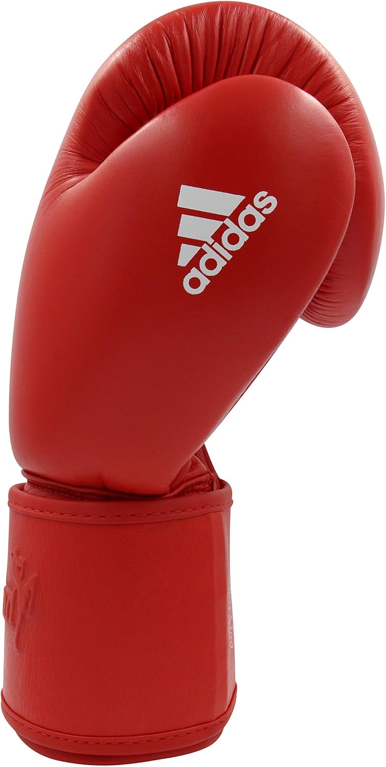 Muai Thai Gloves