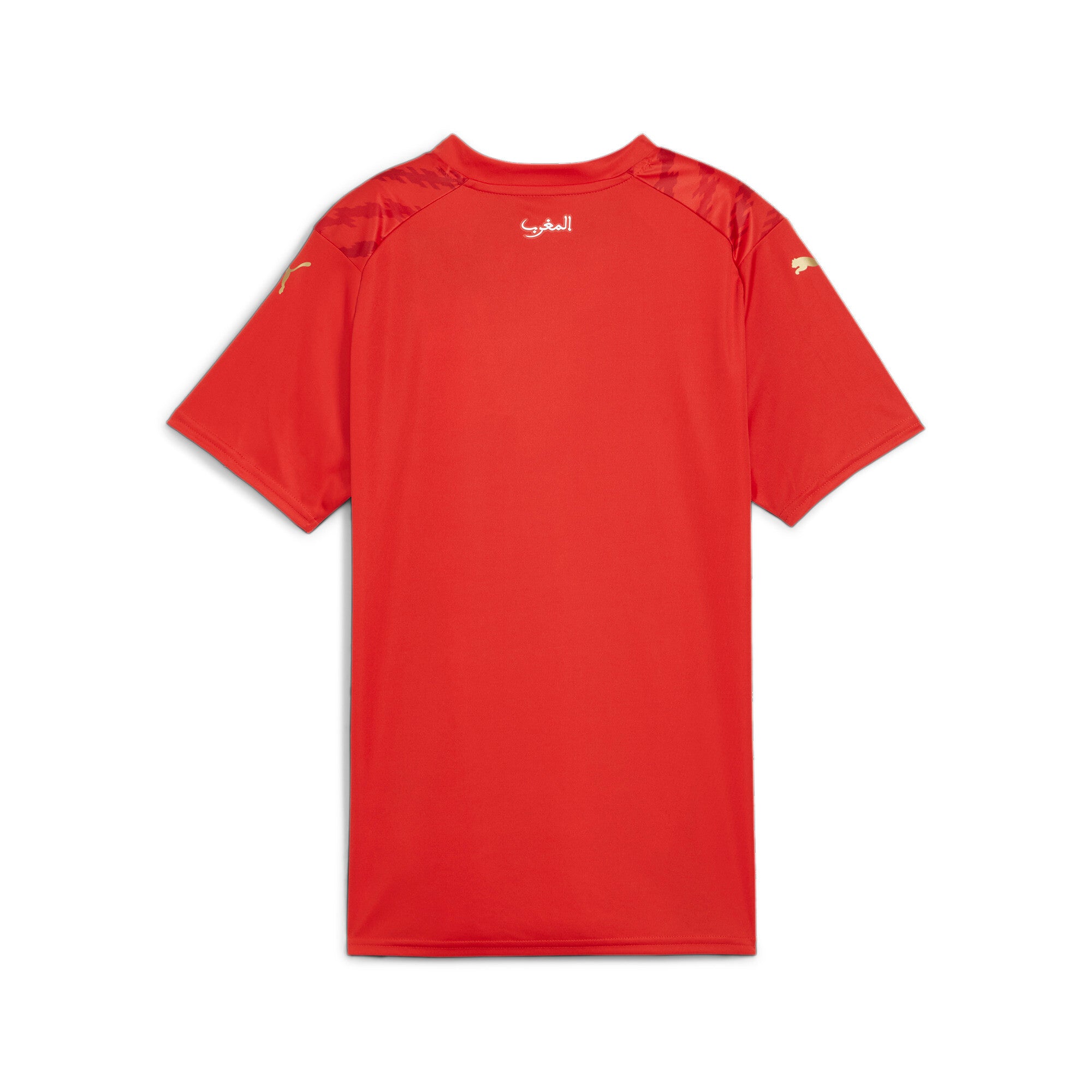 Womens Morocco World Cup 2023 Home Replica Jersey