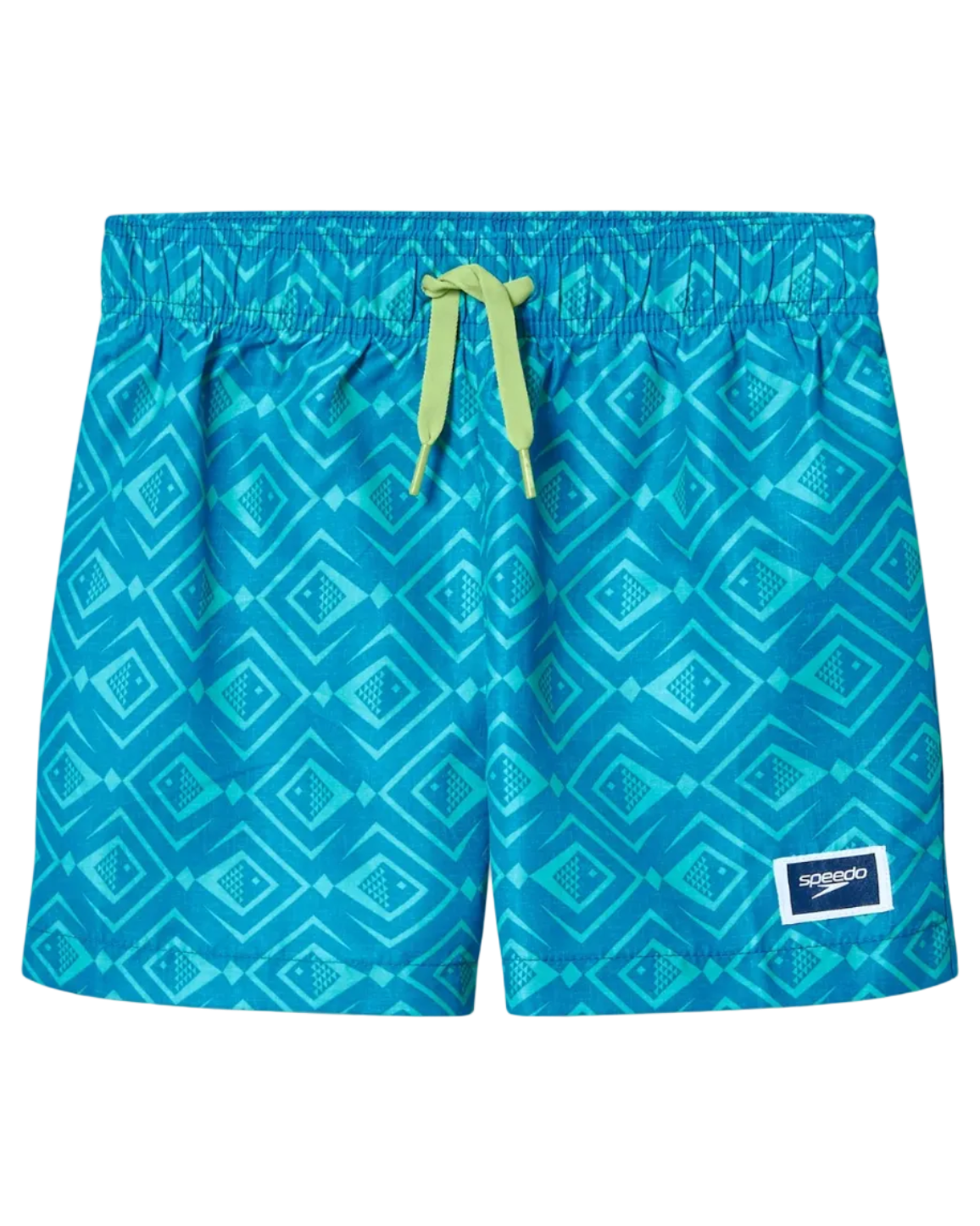 Boys Printed 13 Inch Swim Short