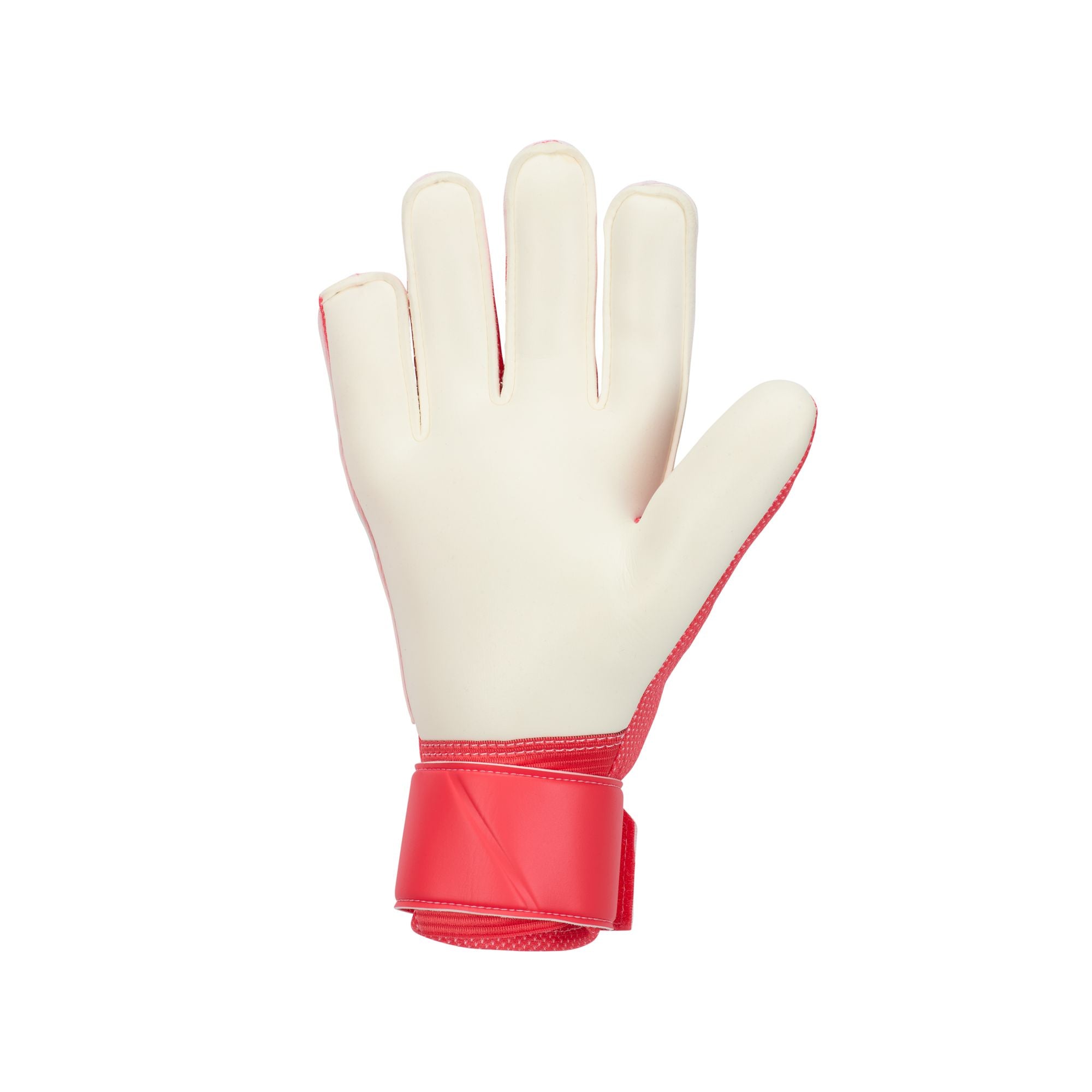 Senior Match Goalkeeper Gloves
