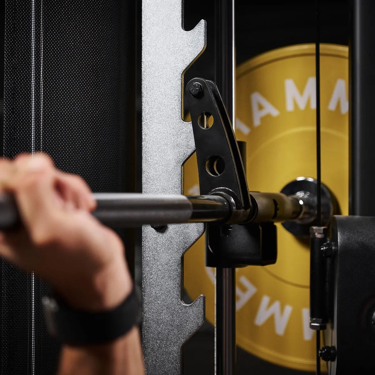 Functional Trainer New Autark 10.0 Bundle