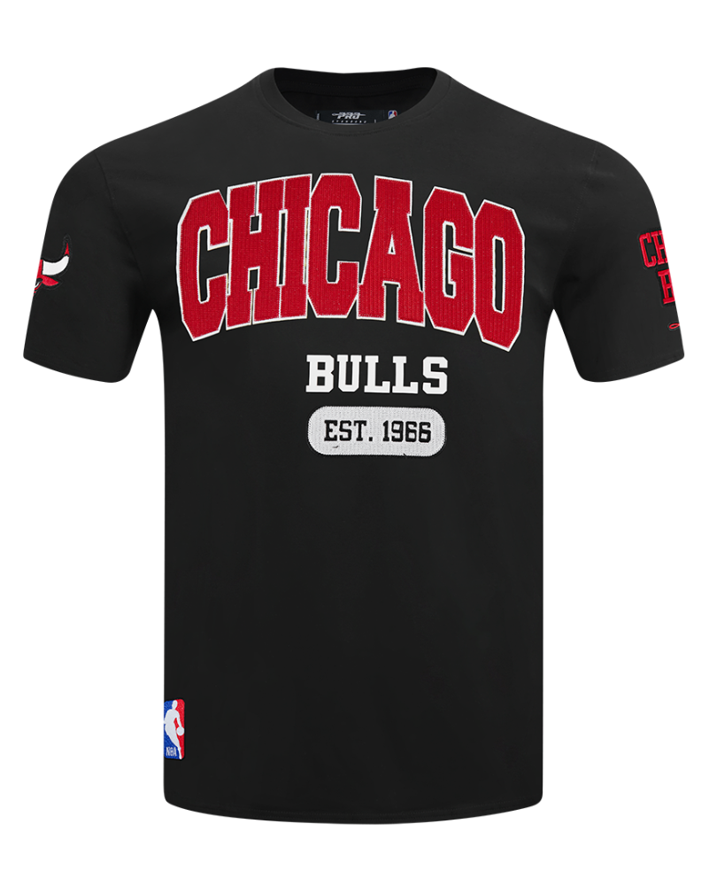 Chicago Bulls City Arch T-Shirt