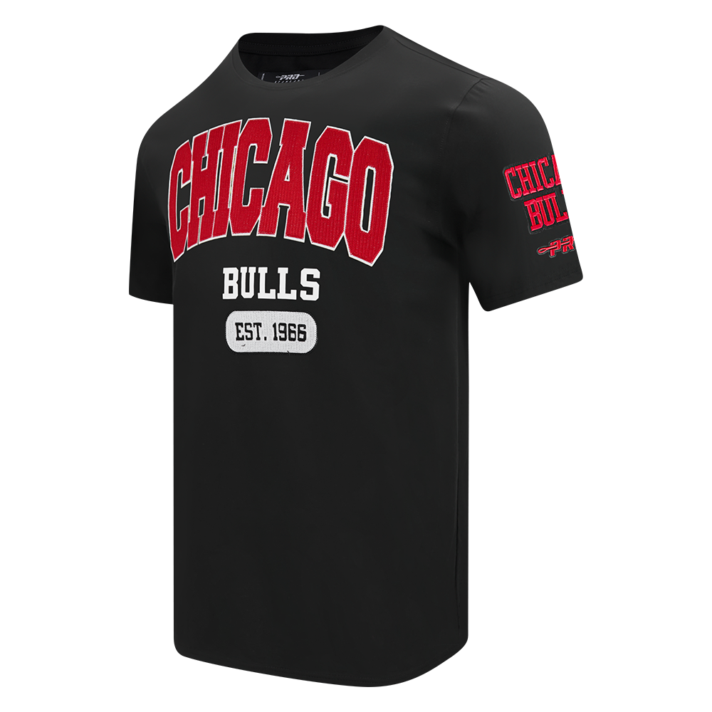Chicago Bulls City Arch T-Shirt