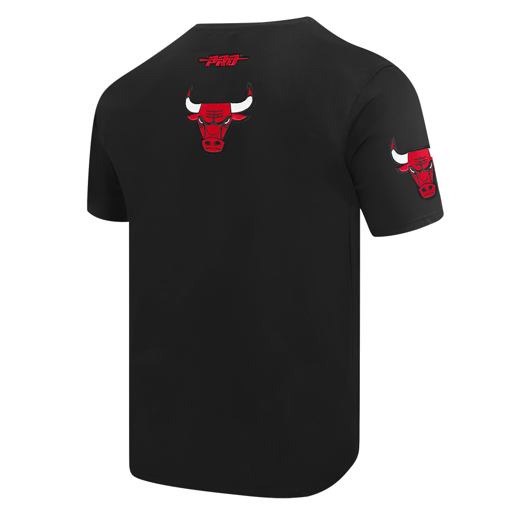Chicago Bulls City Arch T-Shirt