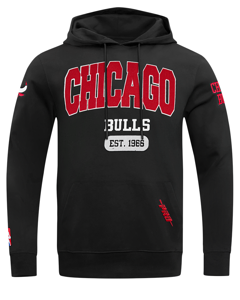 Chicago Bulls City Arch PO Hoodie