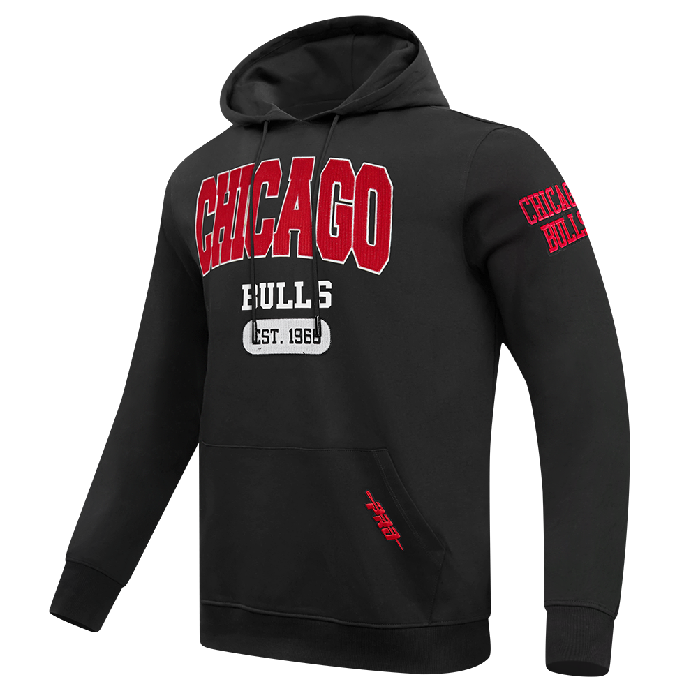 Chicago Bulls City Arch PO Hoodie