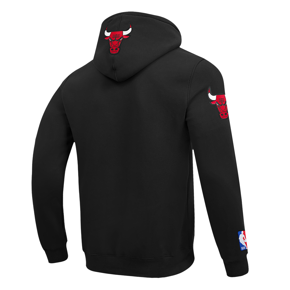 Chicago Bulls City Arch PO Hoodie
