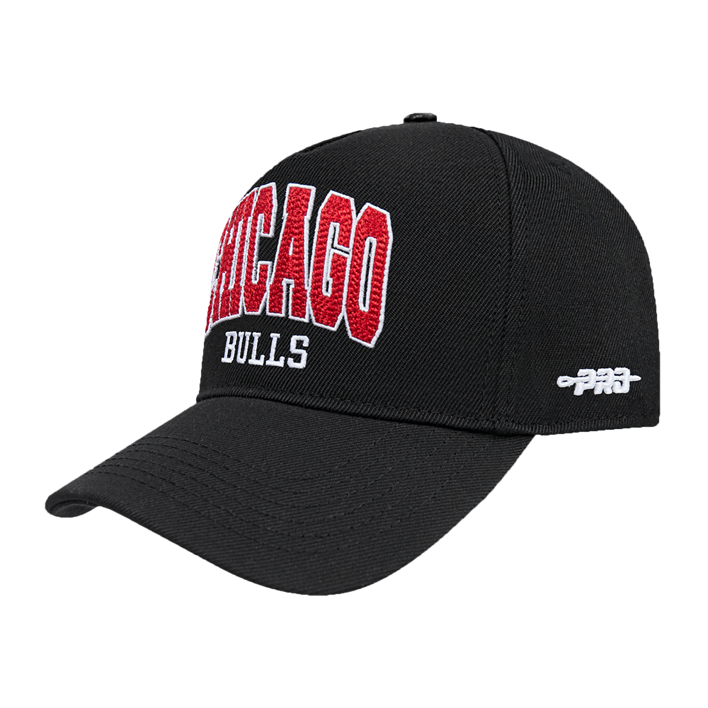 Chicago Bulls City Arch Snapback Cap