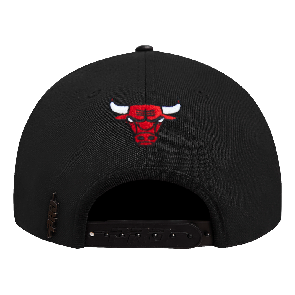 Chicago Bulls City Arch Snapback Cap