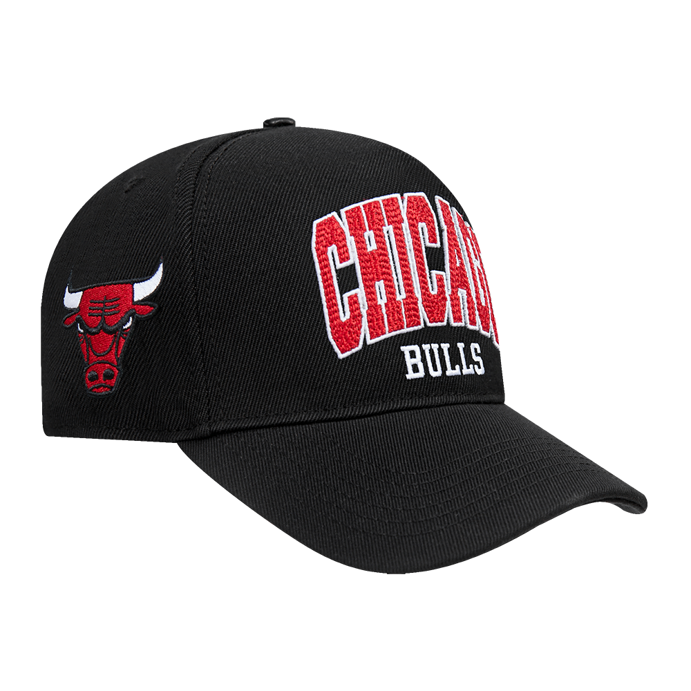 Chicago Bulls City Arch Snapback Cap