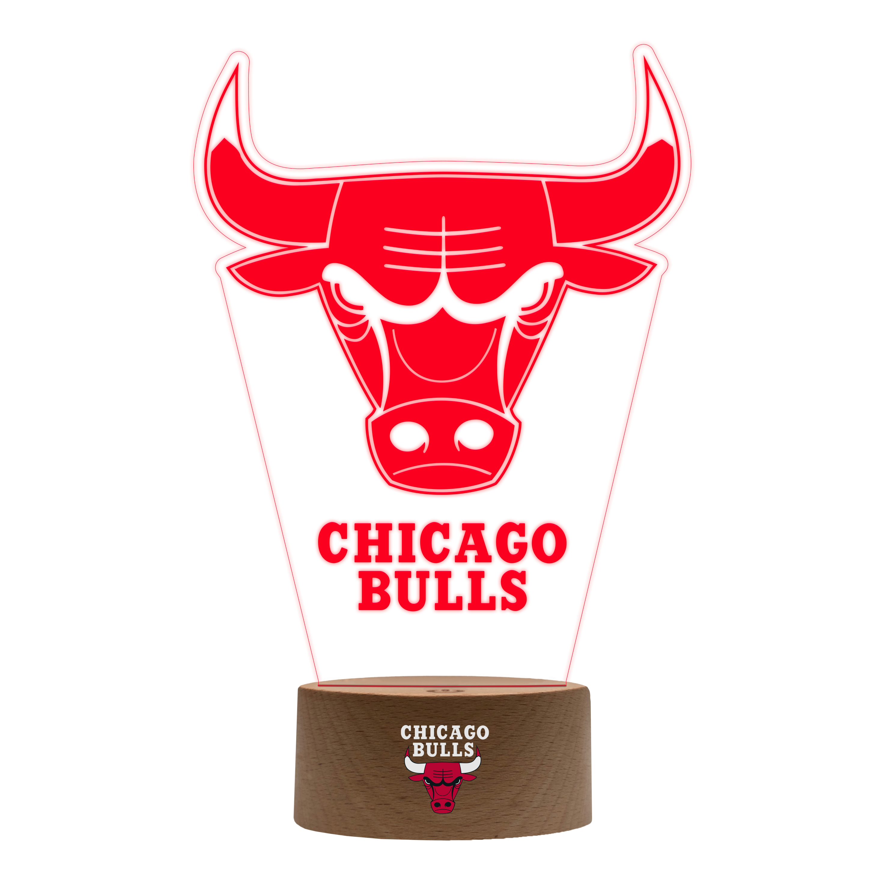 Chicago Bulls LED Light