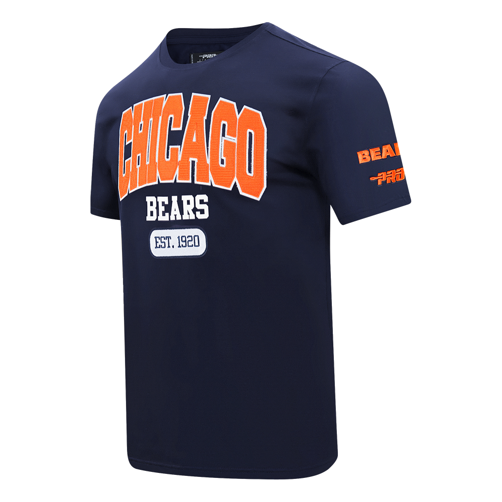 Chicago Bears City Arch T-Shirt