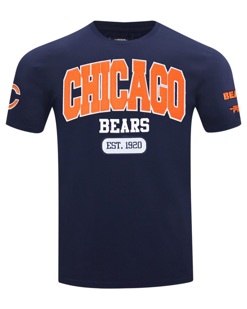 Chicago Bears City Arch T-Shirt