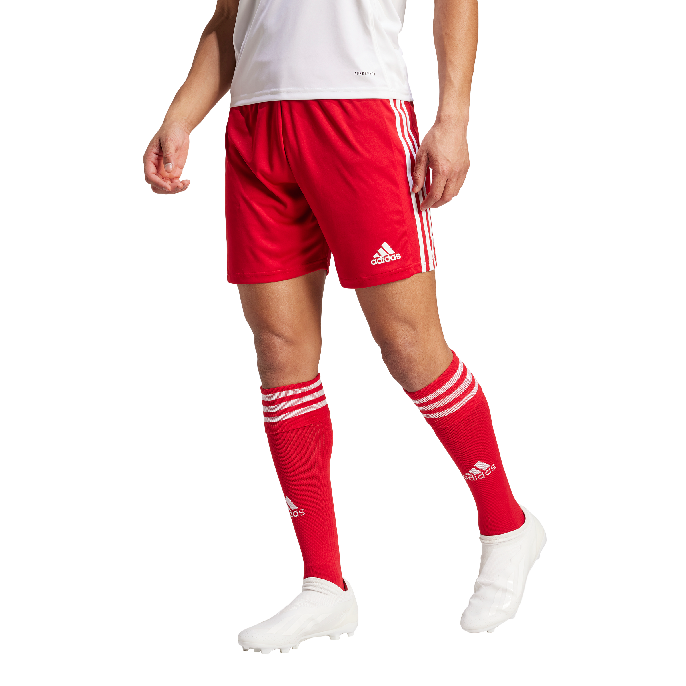 Mens SQUADRA  21 Shorts