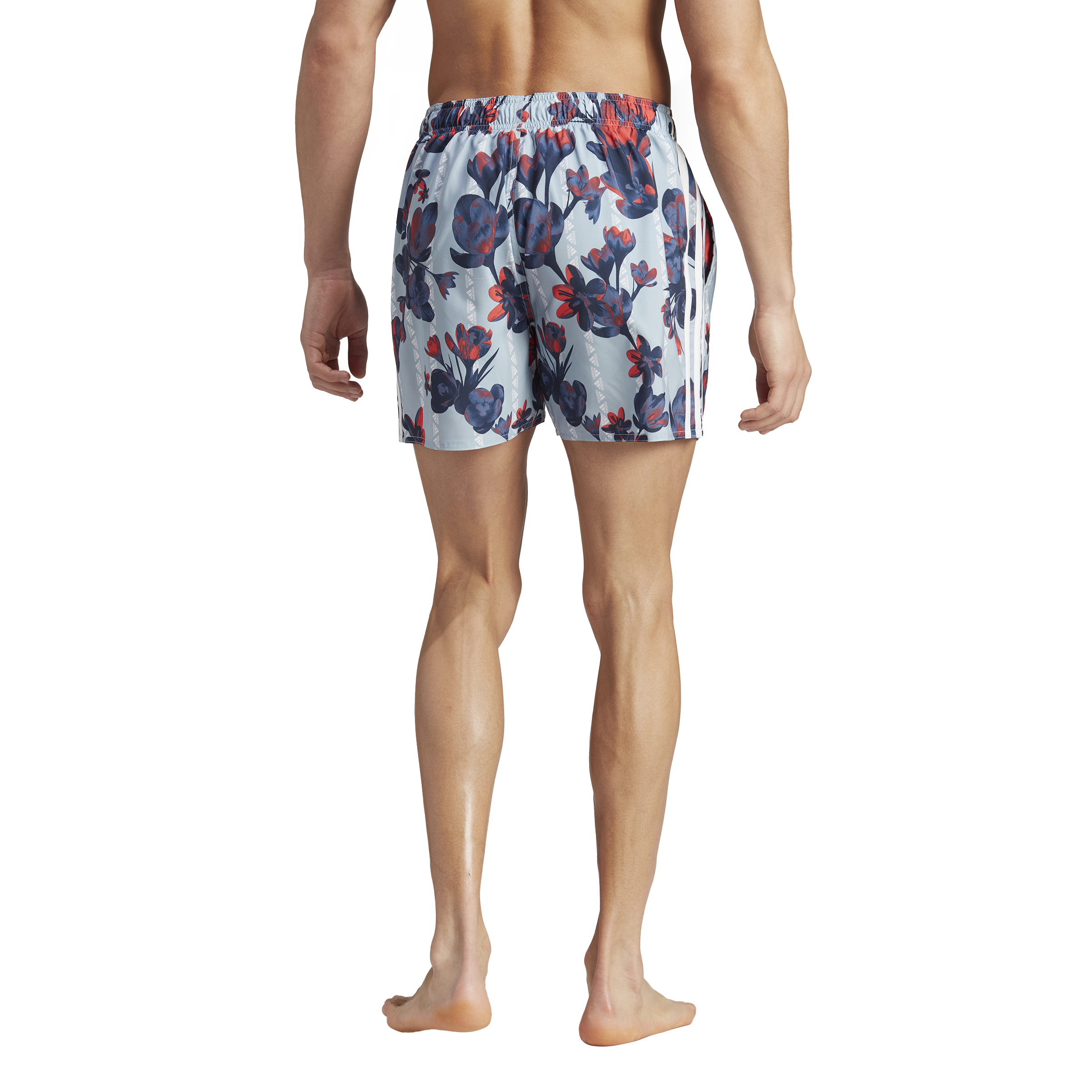FLORAL CLX SL
