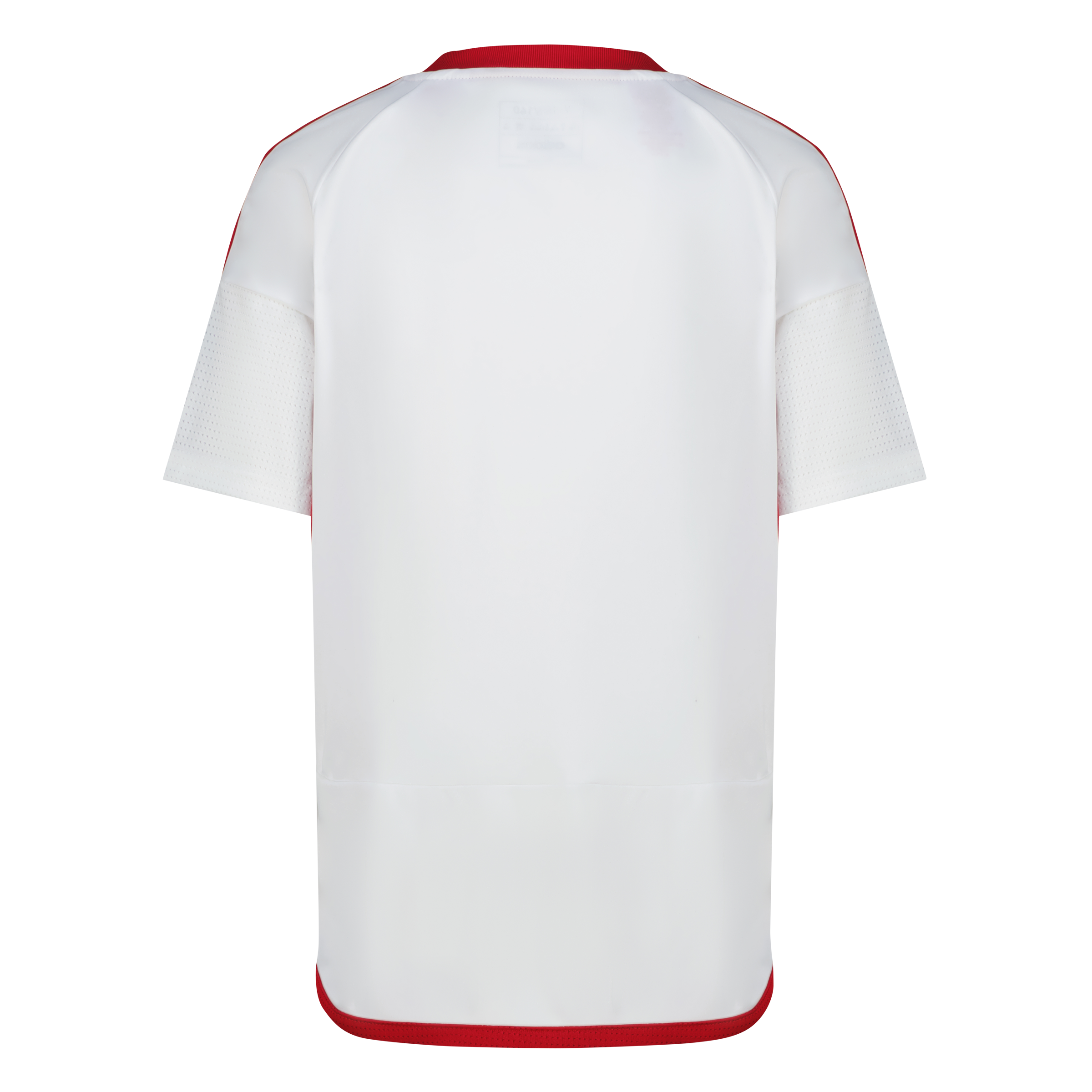 Junior UAE 23/24 Home Replica Jersey