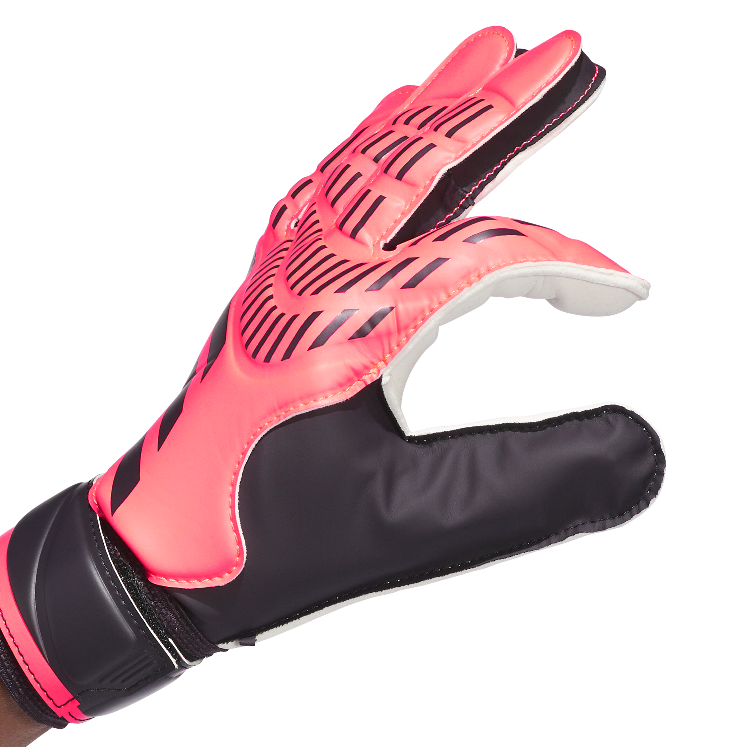 Senior Predator Train Goalkeeper Gloves