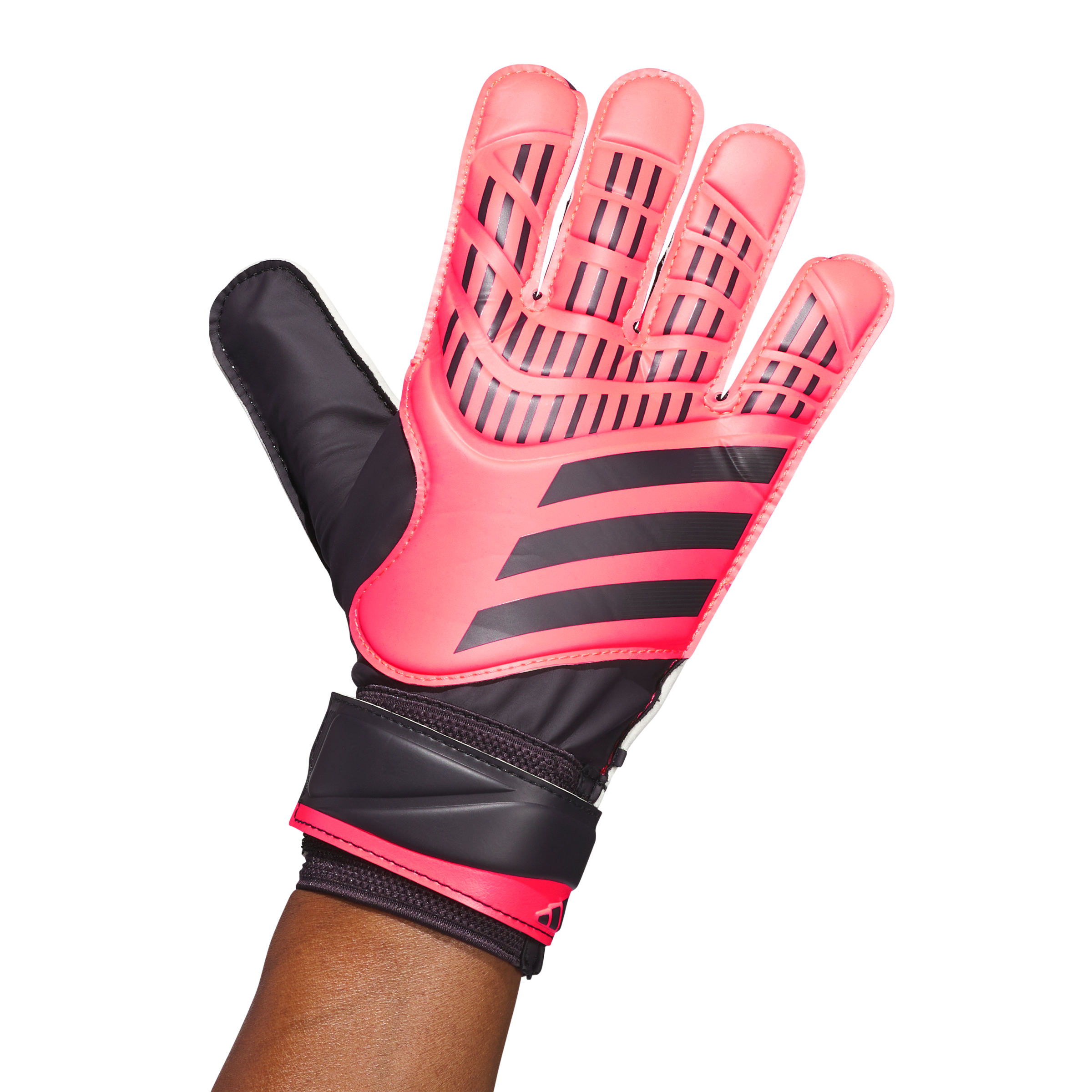 Senior Predator Train Goalkeeper Gloves