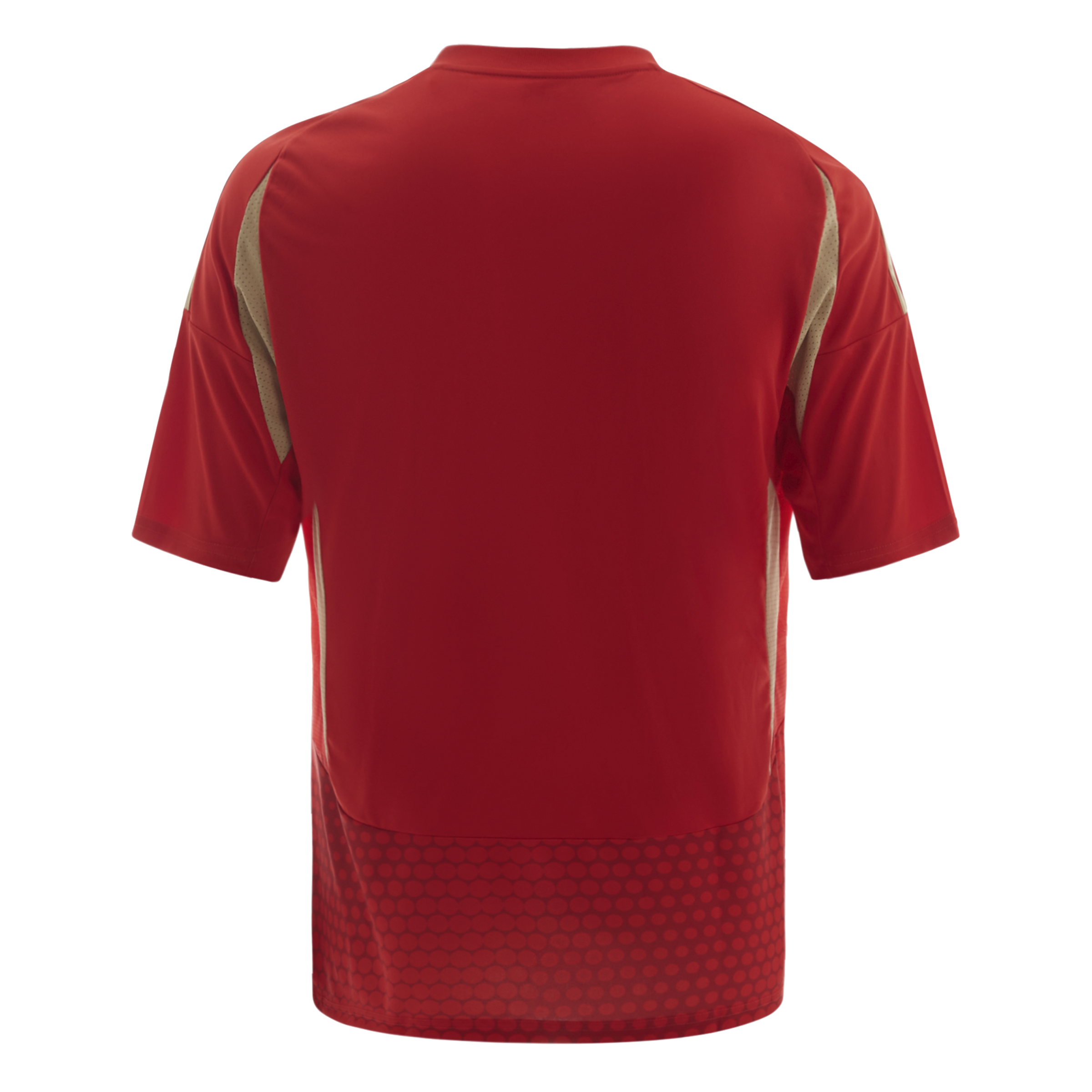 Junior Al Ahly Cairo 24 Home Jersey