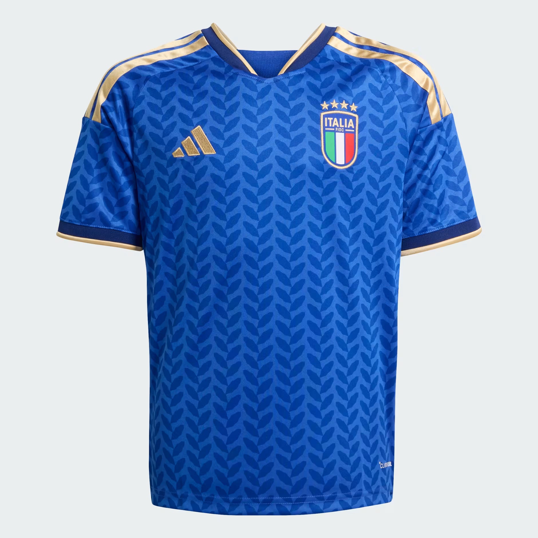 Junior Italy FIGC Home 25/26 Replica Jersey