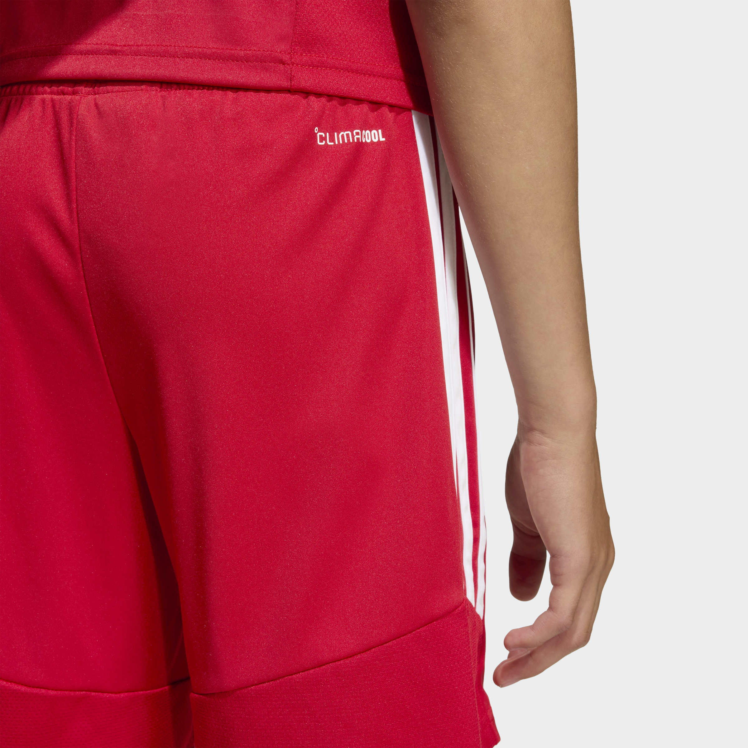 Junior Tiro 26 League Training Shorts