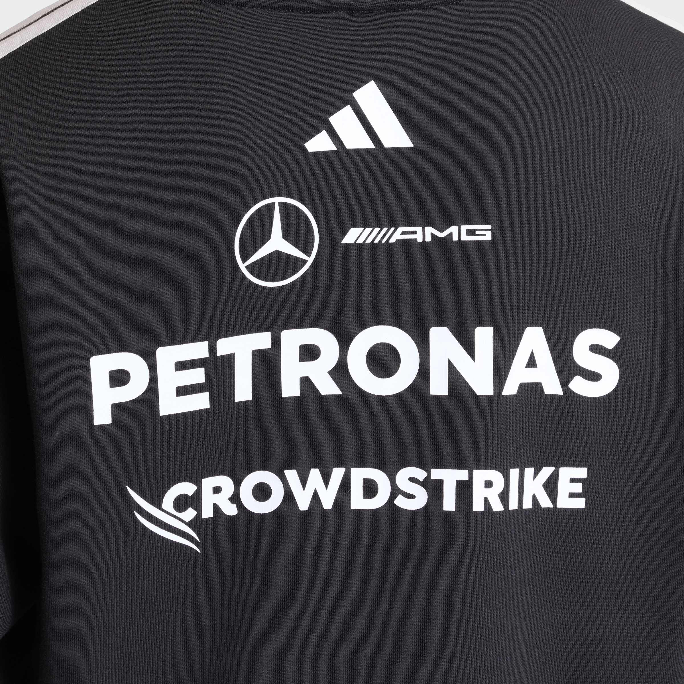 Mens Mercedes AMG F1 Team Hoodie