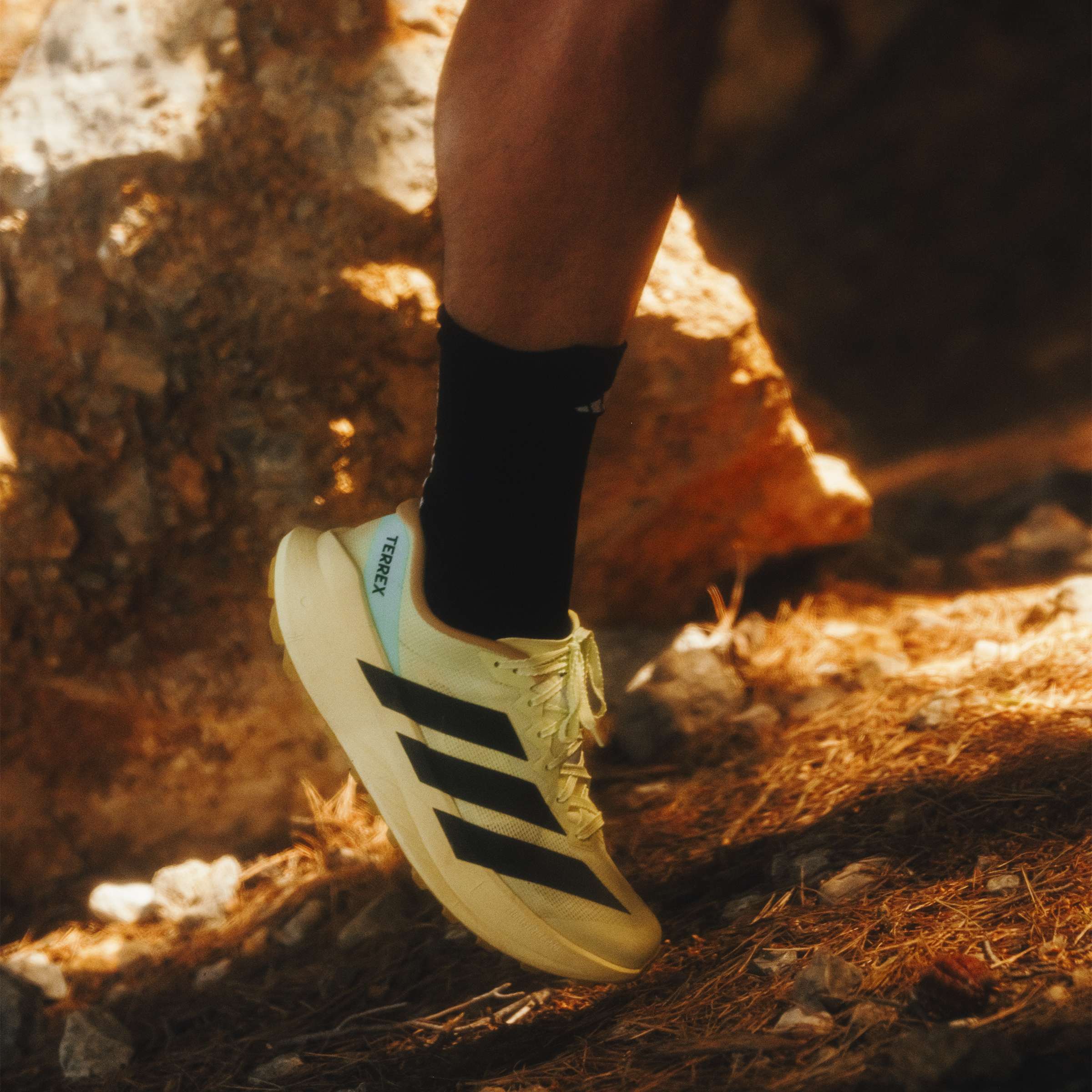Mens Terrex Agravic Sl Trail Running Shoes