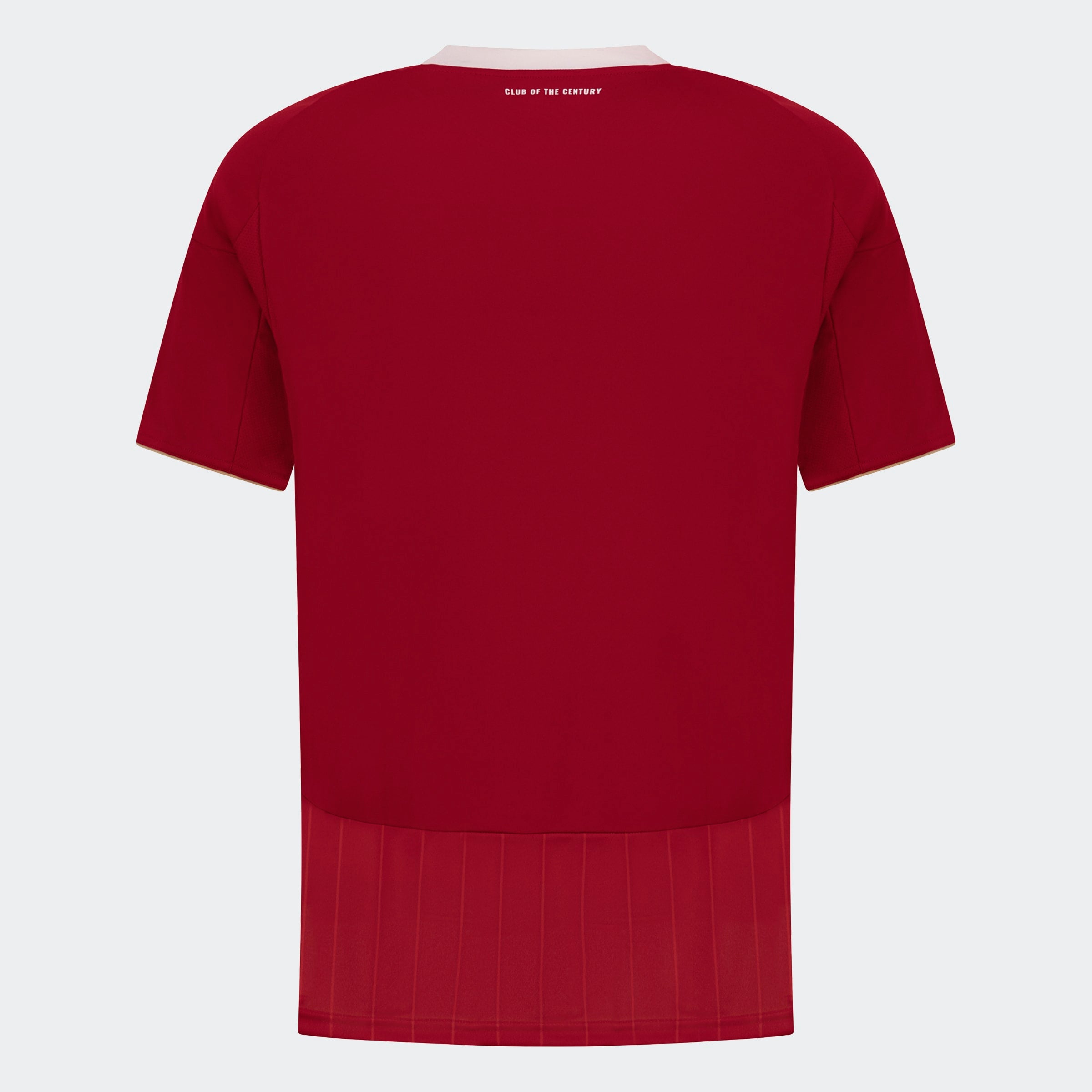 Mens Al Ahli Cairo Home 25/26 Replica Jersey