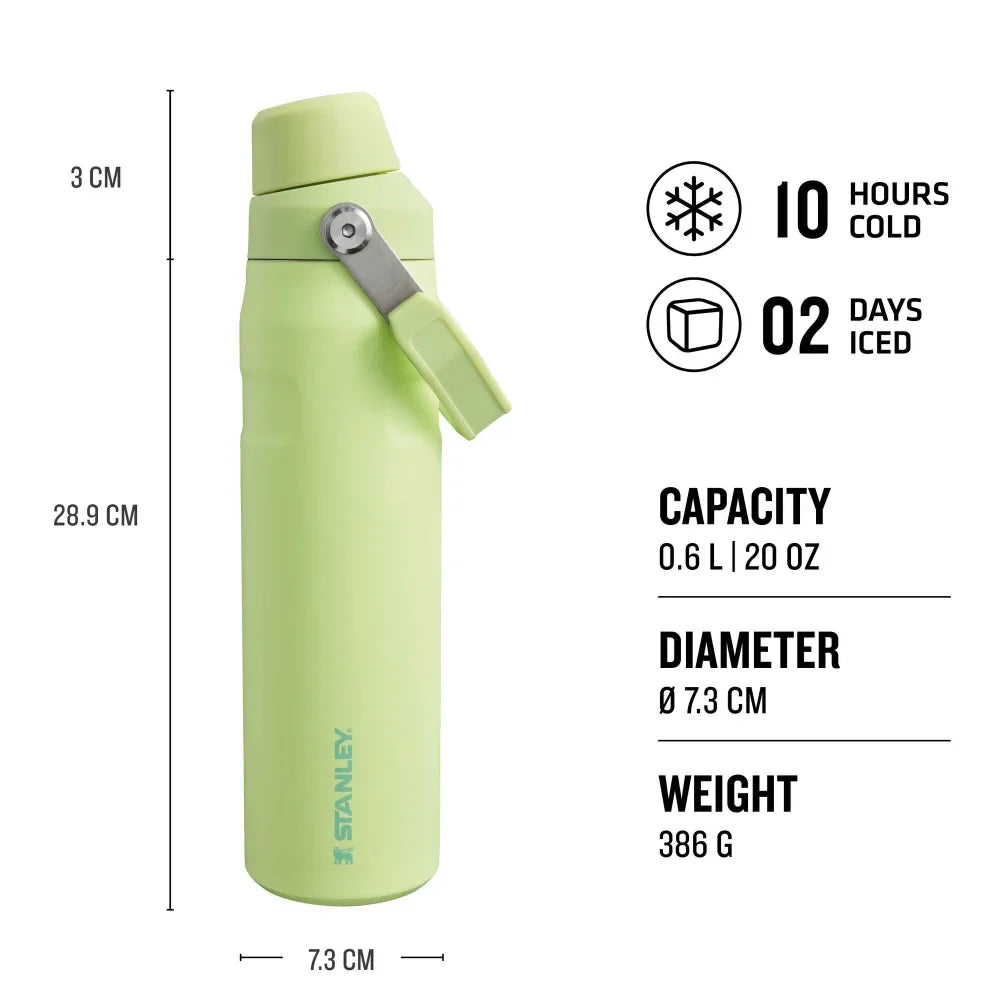 Aerolight Iceflow Fast Flow Citron 20 Ounce Water Bottle