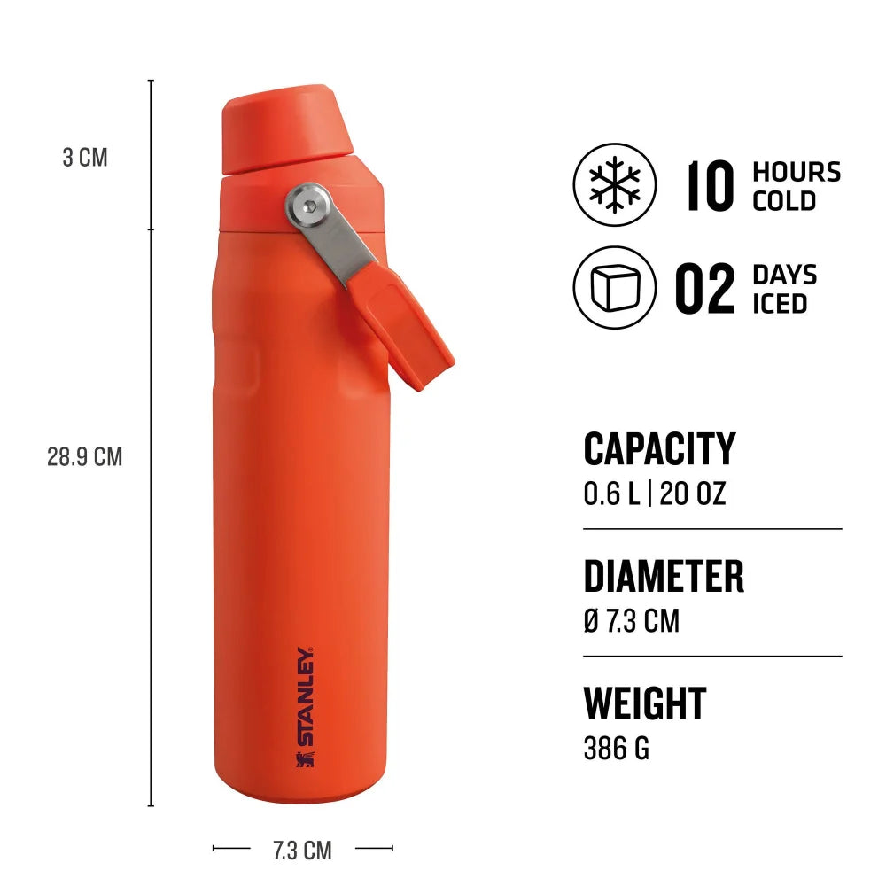 Aerolight Iceflow Fast Flow Tigerlily 20 Ounce Water Bottle