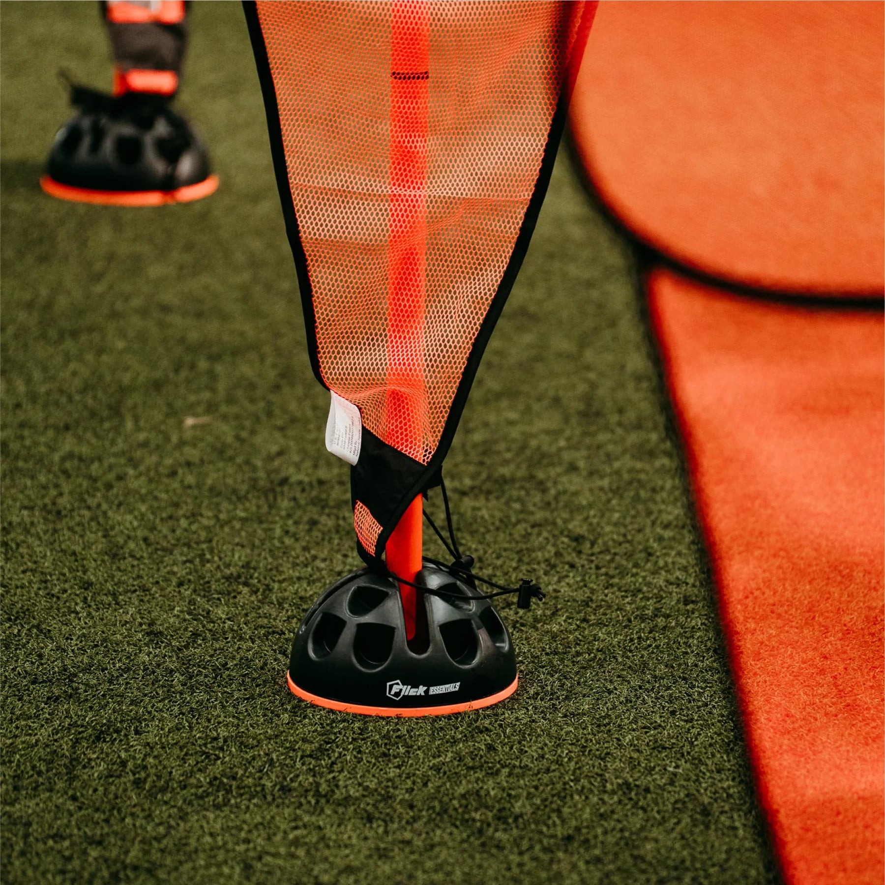 Essentials Training Set