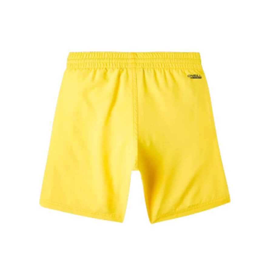 Boys Original Cali 14 Inch Water Shorts