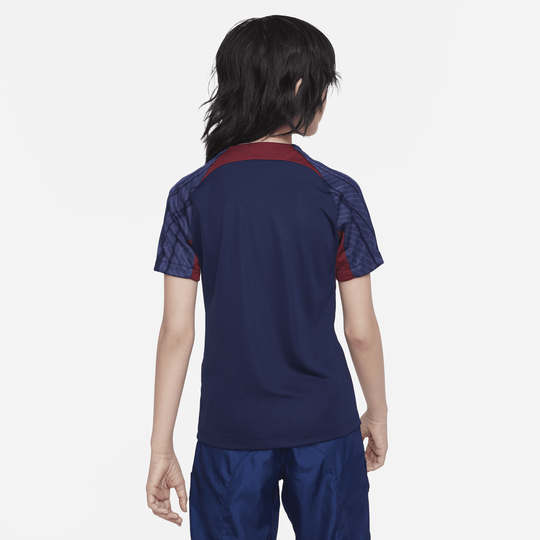 Boys PSG Dri-Fit Strike Training Jersey