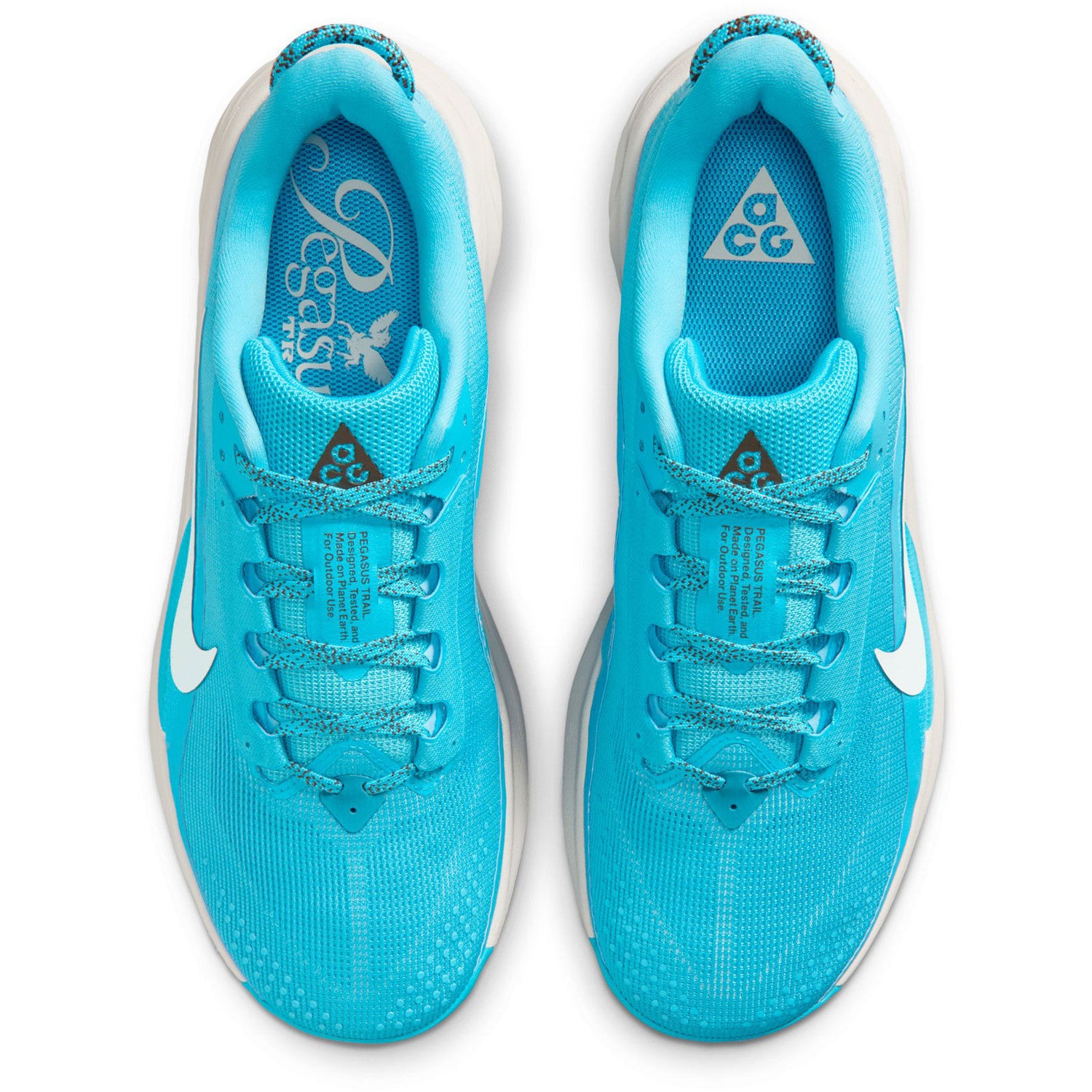 Mens ACG Pegasus Trail Running Shoe