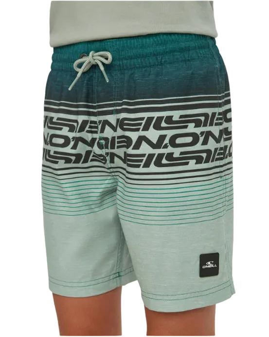 O'Neill Junior Logo Stripe Swimshorts