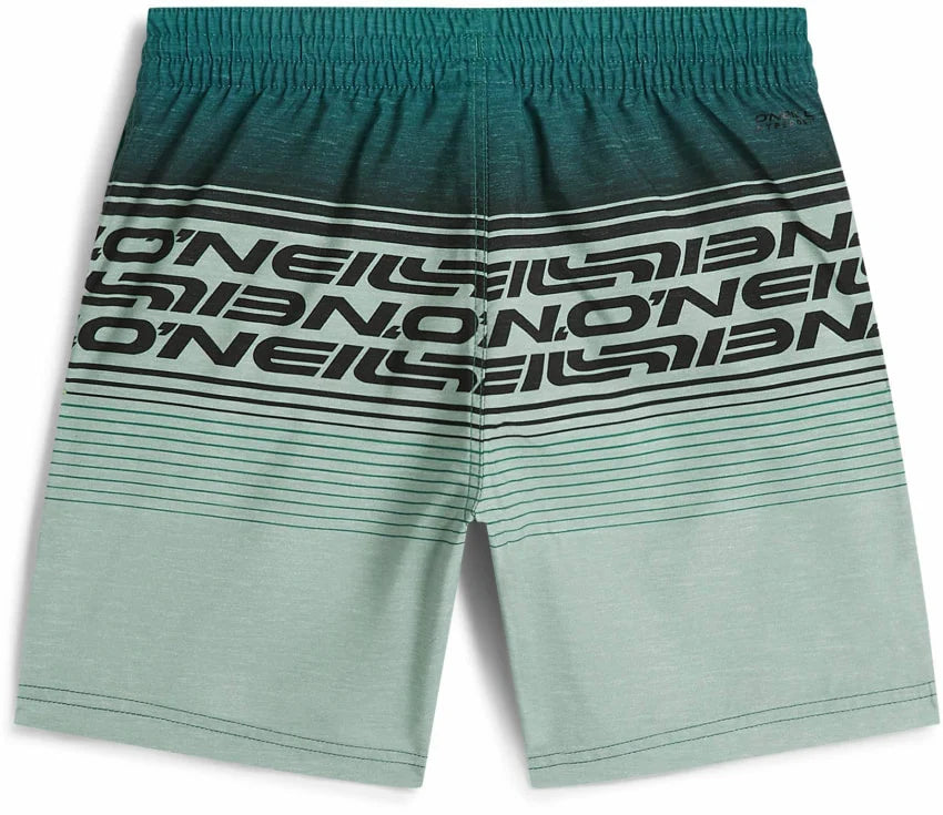 O'Neill Junior Logo Stripe Swimshorts