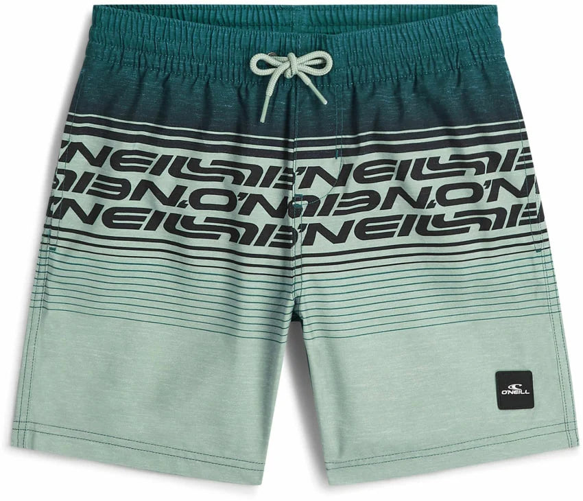 O'Neill Junior Logo Stripe Swimshorts