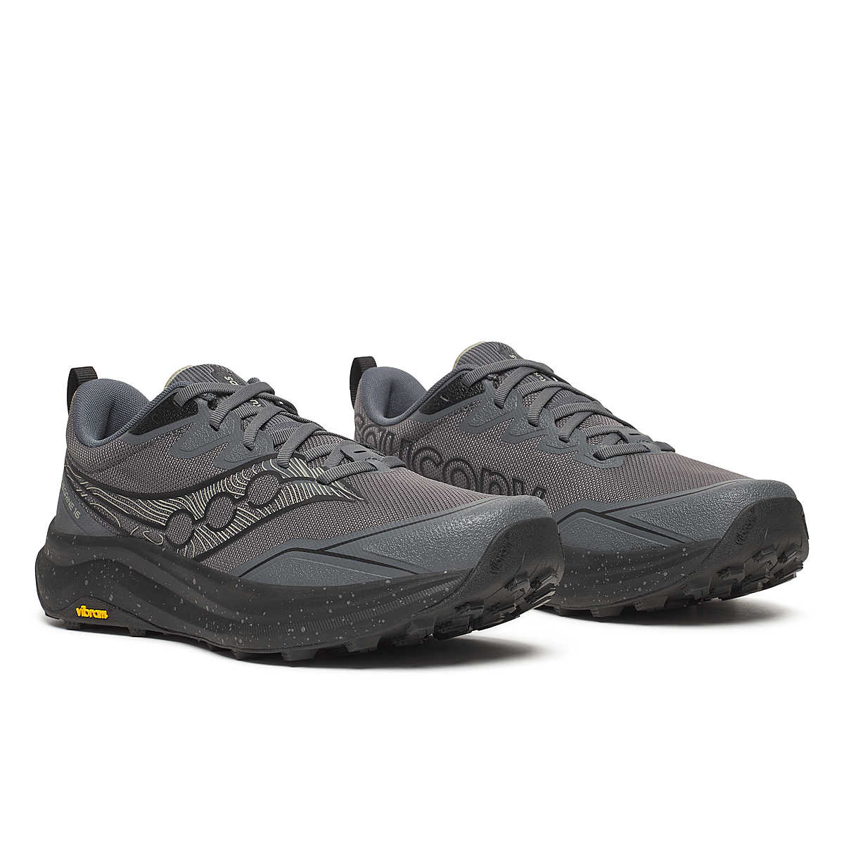 Mens Peregrine 16 Trail Running Shoe